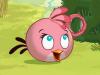 Conozcan al nuevo personaje de Angry Birds + Video